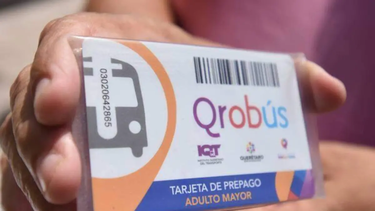 qrobus subsidio